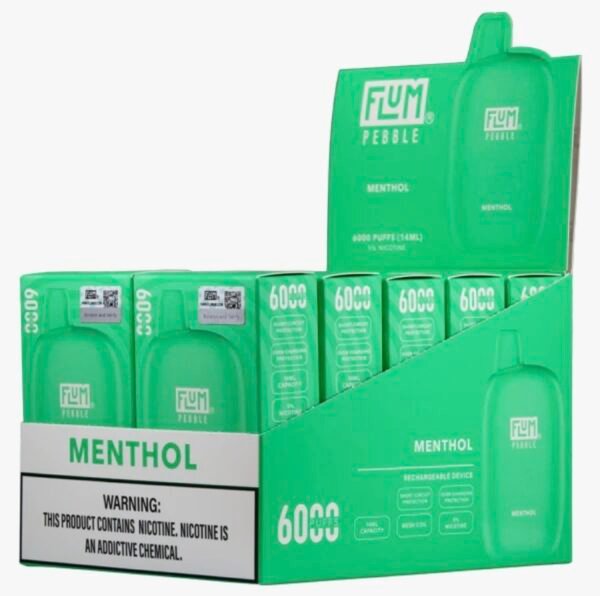 Menthol 6000 puffs (10 pack)