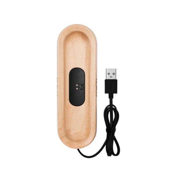 Pax Charging Tray